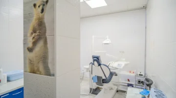Стоматология Белый медведь изображение 5